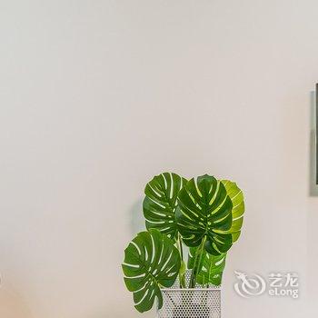 西安王钰磊(00147320)公寓(潘家村分店)酒店提供图片