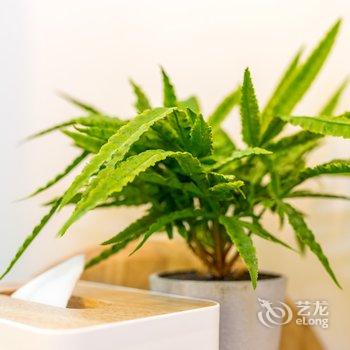 广州路客BD4340精品民宿酒店提供图片