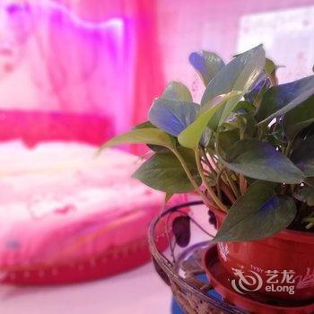 哈尔滨贵族家公寓(红场美术馆分店)酒店提供图片