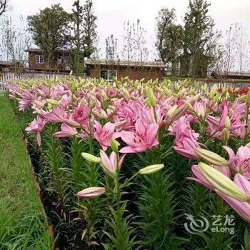 南京花嬉谷房车露营基地酒店提供图片