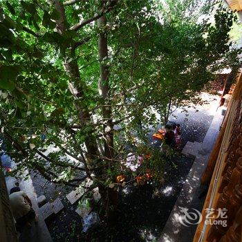 腾冲南方·有杏客栈(银杏村店)酒店提供图片