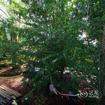 腾冲南方·有杏客栈(银杏村店)酒店提供图片