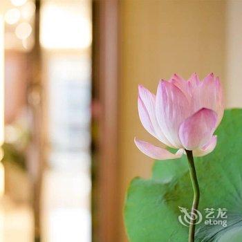 广州林深见鹿公寓酒店提供图片