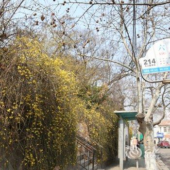 青岛杨杨妈妈小屋酒店提供图片