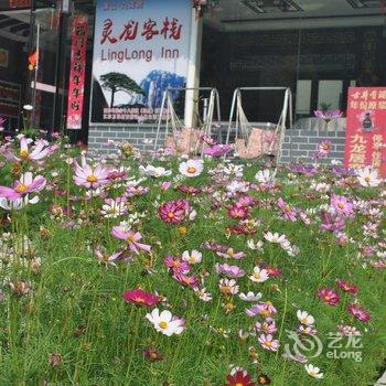 黄山九龙居宾馆酒店提供图片