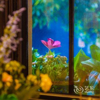 上海AimeeHouse特色民宿.酒店提供图片