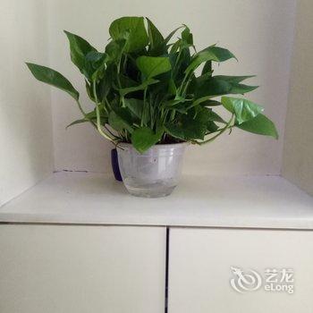 成都有缘居公寓(17号店)酒店提供图片