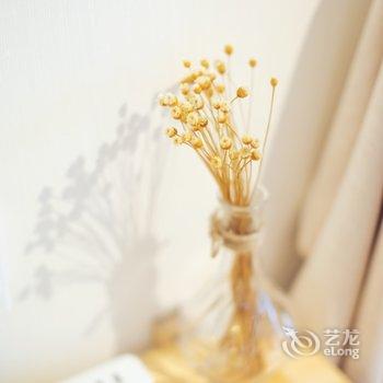 成都Innes公寓(2号店)酒店提供图片