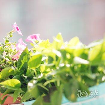 成都Innes公寓(2号店)酒店提供图片