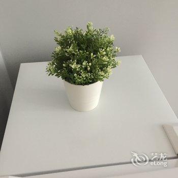 成都阳光乐园公寓酒店提供图片