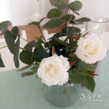 成都kiki.z公寓酒店提供图片