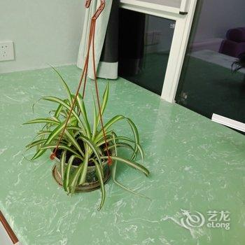 成都紫薇阁主公寓酒店提供图片