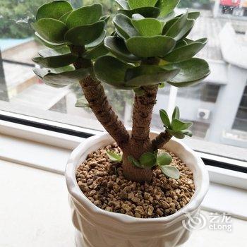 燕之家公寓(西安雁南一路店)酒店提供图片