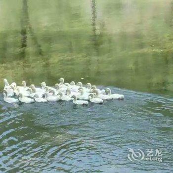 北京古北水镇付姐民俗特色民宿酒店提供图片
