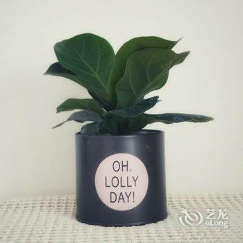 成都Sean大龄少年公寓(玻璃植物园分店)酒店提供图片