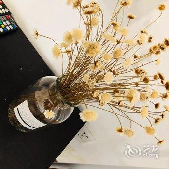 成都Sean大龄少年公寓(儿童乐园分店)酒店提供图片