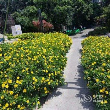 重庆巴黎的春天公寓(兴胜路分店)酒店提供图片