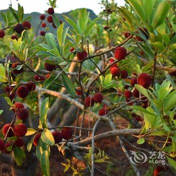 镇远PS·沐风居酒店提供图片