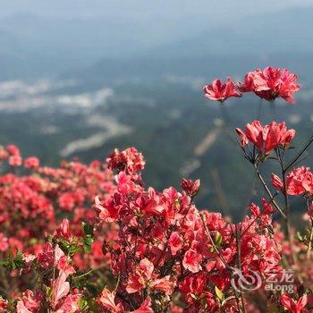 桐庐未见山宿酒店提供图片