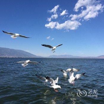 大理如释海景客栈酒店提供图片