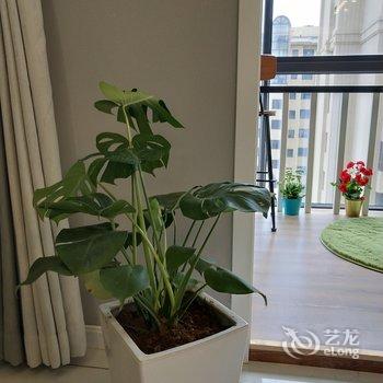 西安vivi家城市生活民宿(大雁塔村分店)酒店提供图片