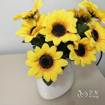 西安桃花潭精装公寓(含元路店)酒店提供图片