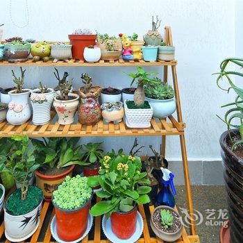 青岛花宿旅游服务公司民宿酒店提供图片