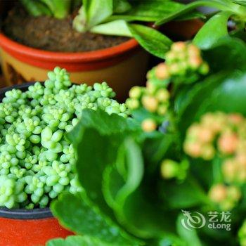 青岛花宿旅游服务公司民宿酒店提供图片