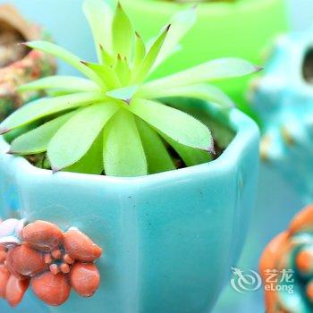 青岛花宿旅游服务公司民宿酒店提供图片