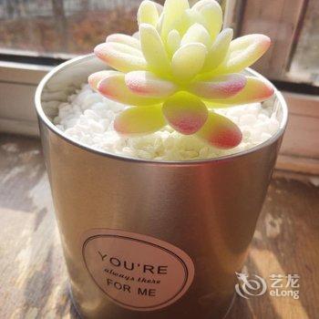 青岛张馨元普通公寓酒店提供图片