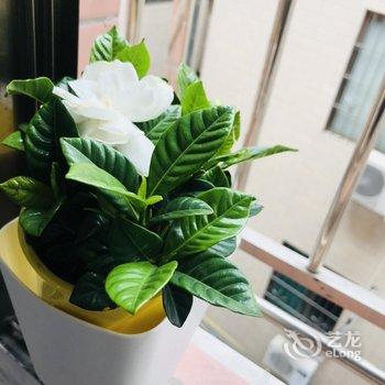 广州15521068172公寓酒店提供图片