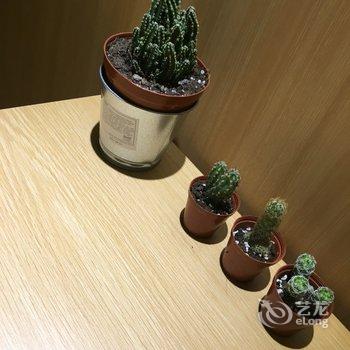 上海三生三舍lucky公寓酒店提供图片