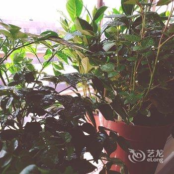 上海VV(洛川东路店)酒店提供图片