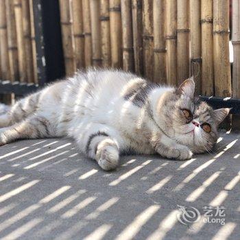 上海云和川客栈酒店提供图片