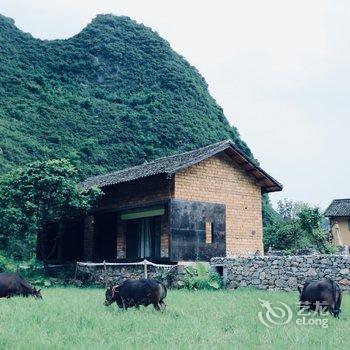 阳朔万相·青谷酒店酒店提供图片