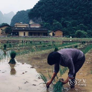 阳朔万相·青谷酒店酒店提供图片