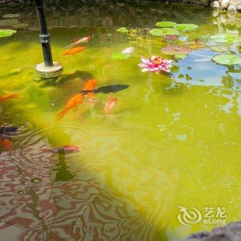 青岛陌陌花开度假别墅(齐东路分店)酒店提供图片