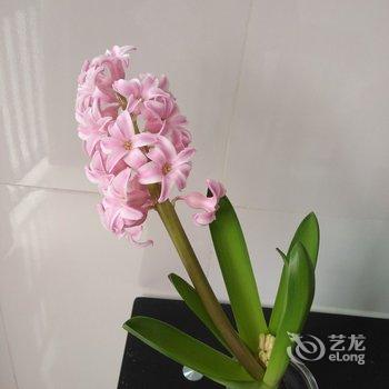 重庆公园里的家普通公寓酒店提供图片