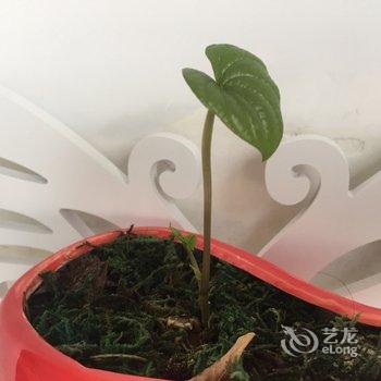 重庆公园里的家普通公寓酒店提供图片