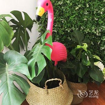 西安两个热爱烘焙的女生普通公寓酒店提供图片