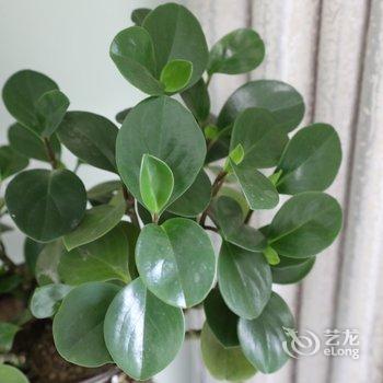 西安布衣布舎普通公寓酒店提供图片