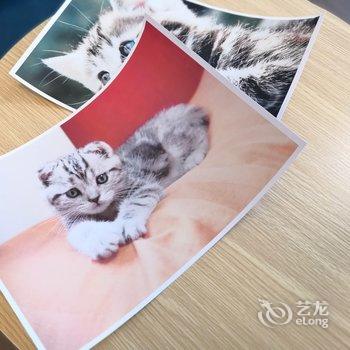 广州Da灰灰公寓酒店提供图片