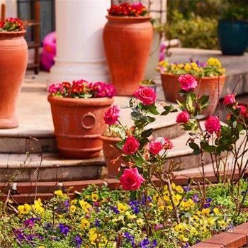 蓝派别墅派对轰趴馆(上海业途路店)酒店提供图片