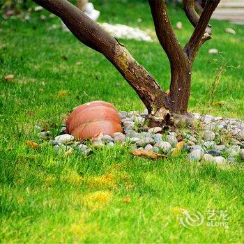 蓝派别墅派对轰趴馆(上海业途路店)酒店提供图片