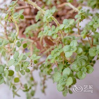 西安欣欣的小屋公寓(自强西路分店)酒店提供图片
