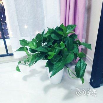 西安丫丫小屋公寓酒店提供图片