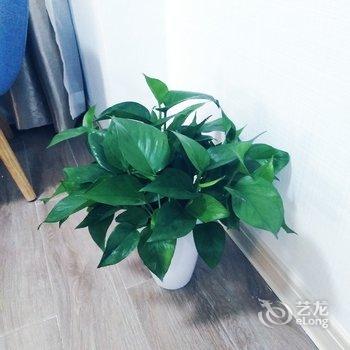 西安丫丫小屋公寓酒店提供图片