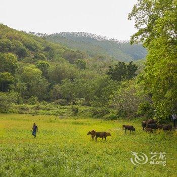 博罗罗浮山莫洞果园农庄酒店提供图片