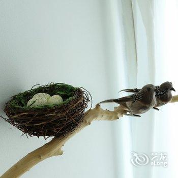 �ɶ�����ֲ��԰��ܰ��ͨ��Ԣ�Ƶ��ṩͼƬ