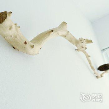 �ɶ�����ֲ��԰��ܰ��ͨ��Ԣ�Ƶ��ṩͼƬ